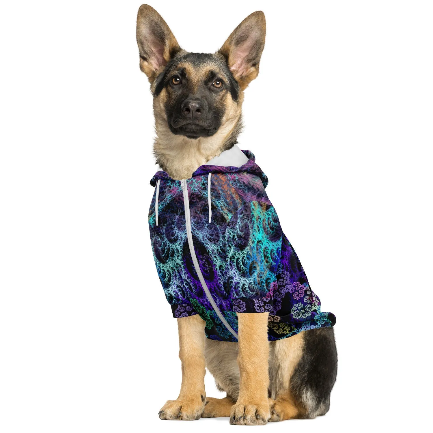 Astral Adornment | Dog Hoodie | James Fletcher