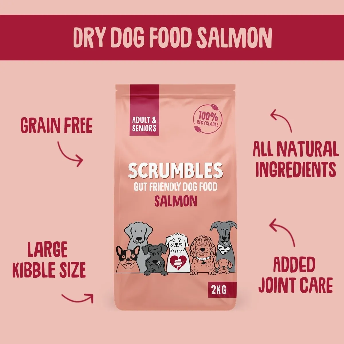 Salmon Dry Dog Food