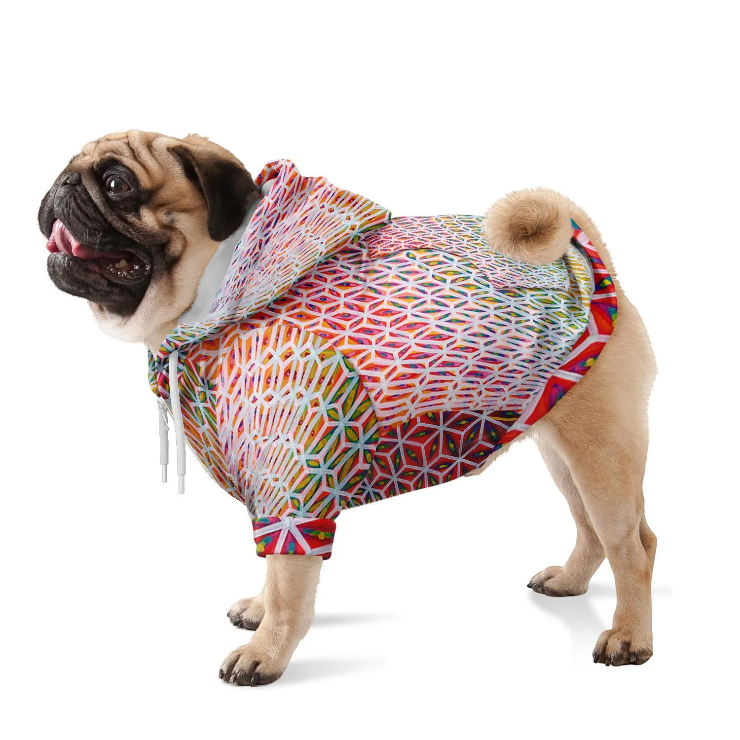 Vortex Swirl Dog Hoodie | Bart Van Hertum