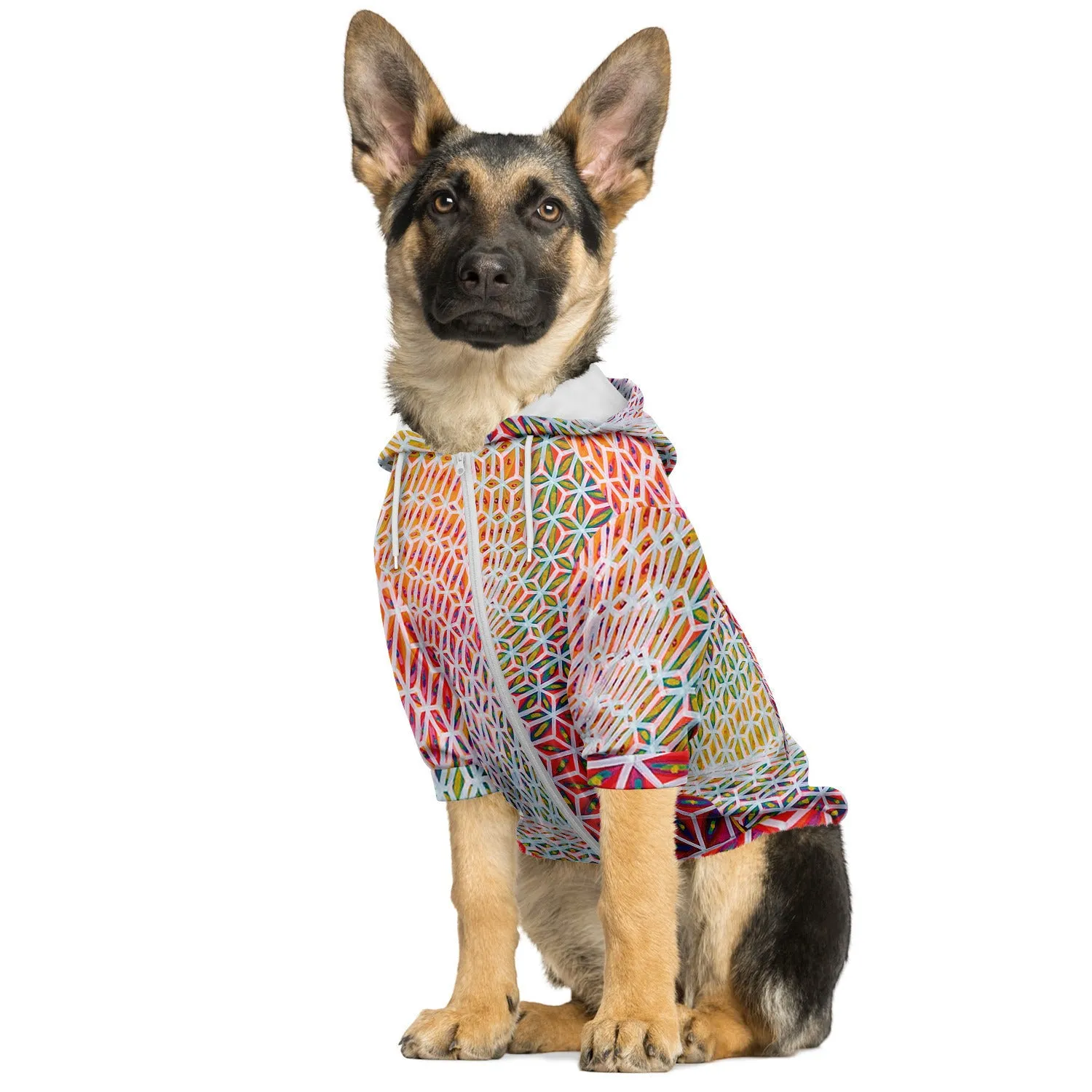 Vortex Swirl Dog Hoodie | Bart Van Hertum